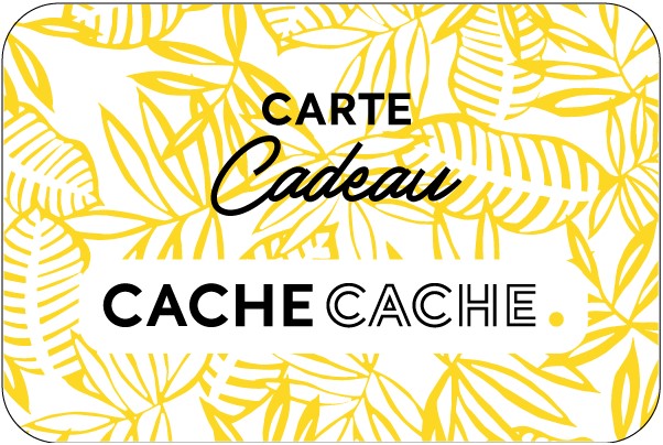 Cache Cache