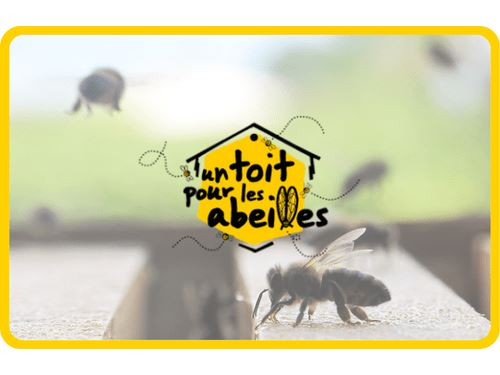 Un toit pour les abeilles